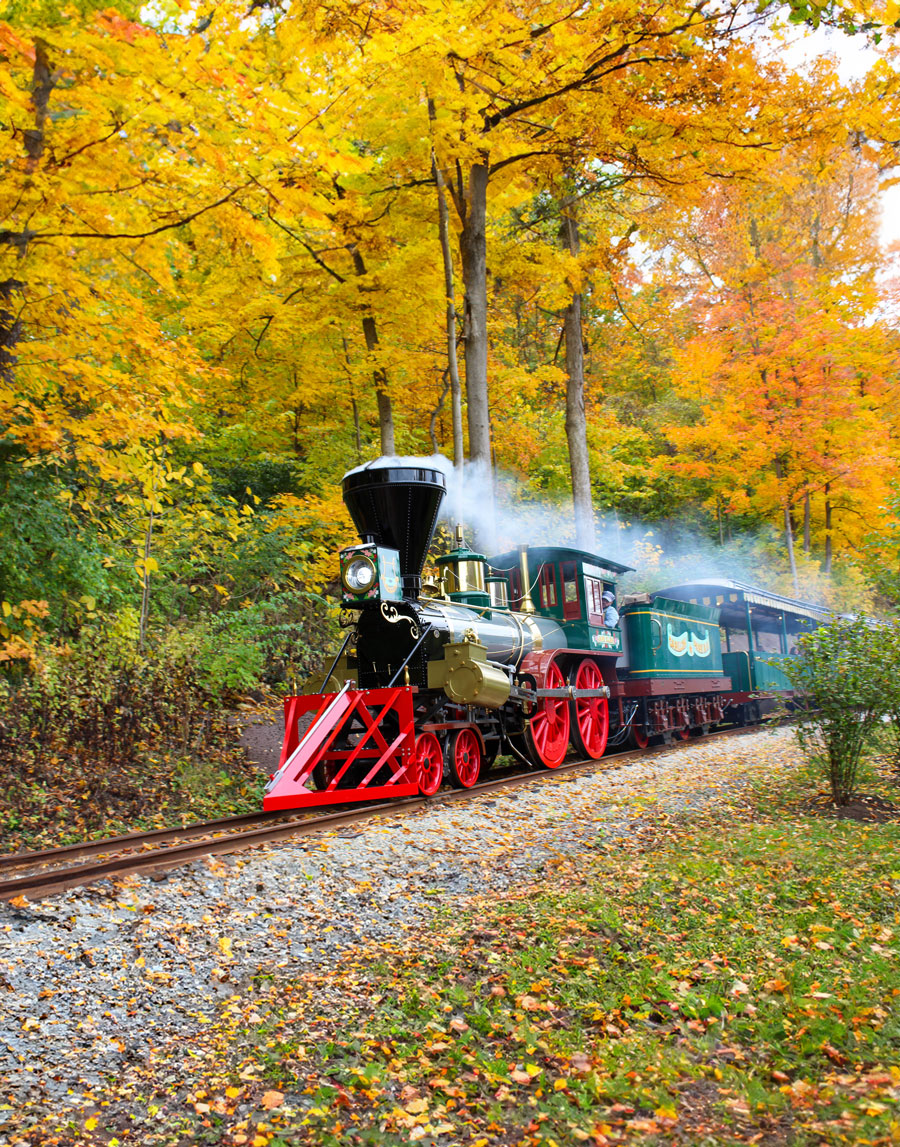 box-train